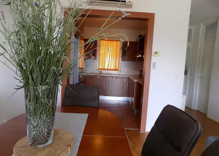 Apartament Borna Vrbnik (Primorje-Gorski Kotar)